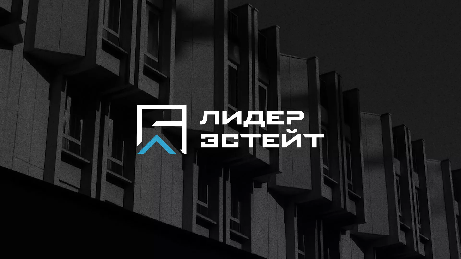 Разработка логотипа агентства недвижимости «Лидер Эстейт» в Лермонтове